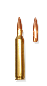 Remington bullet .223 69gr BTHP