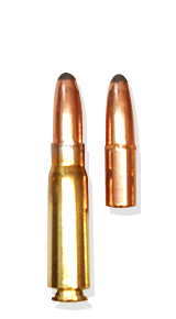 Thumper bullet 7.62 220gr RN