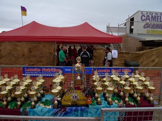 camelcup2