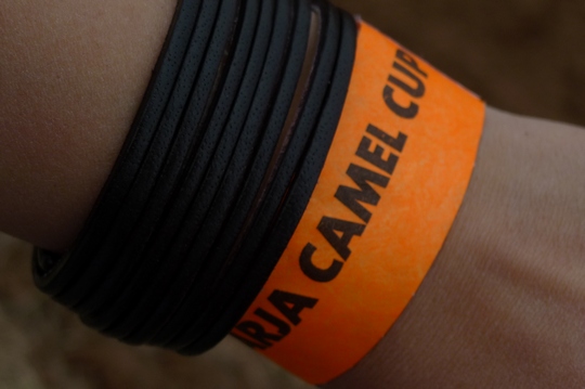 camelcup6