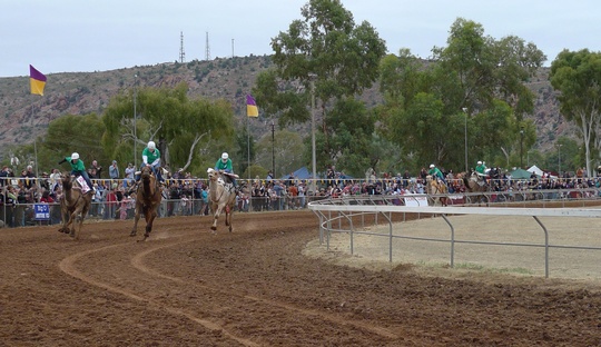 camelcup7
