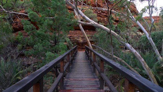 kingscanyon12