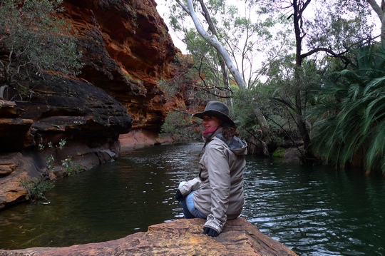 kingscanyon14