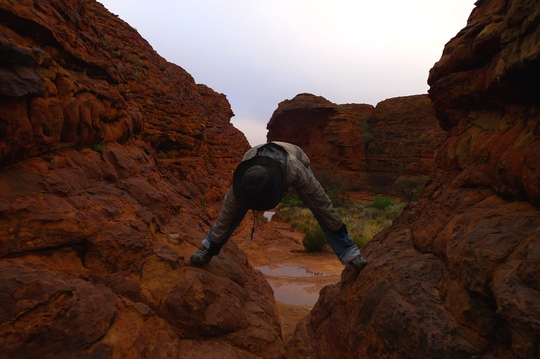 kingscanyon3