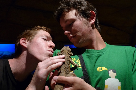 reptile_center10