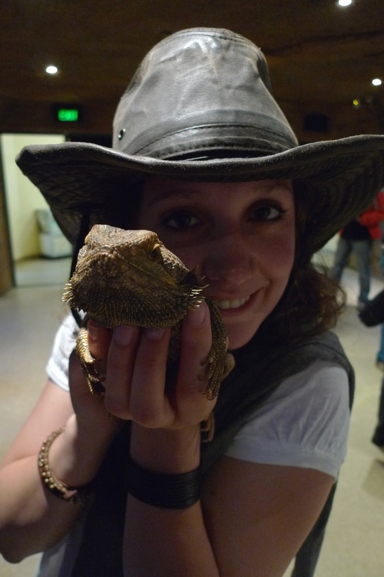 reptile_center11