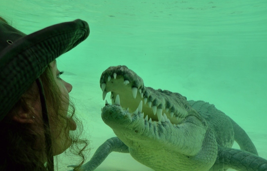reptile_center17