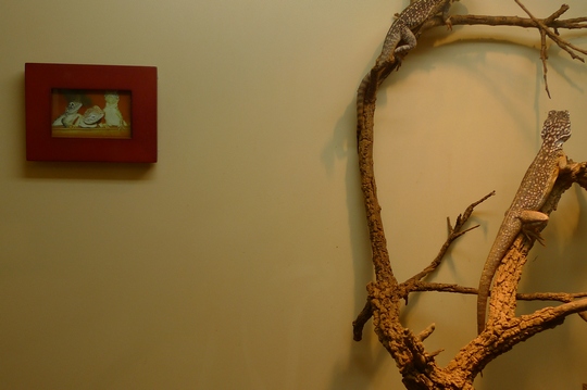 reptile_center3