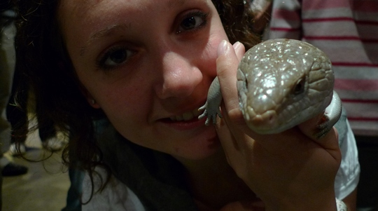 reptile_center6
