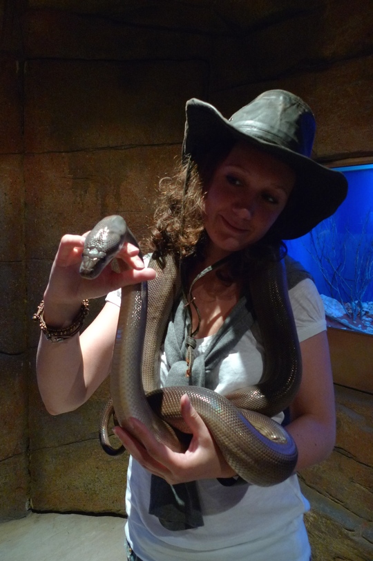 reptile_center8