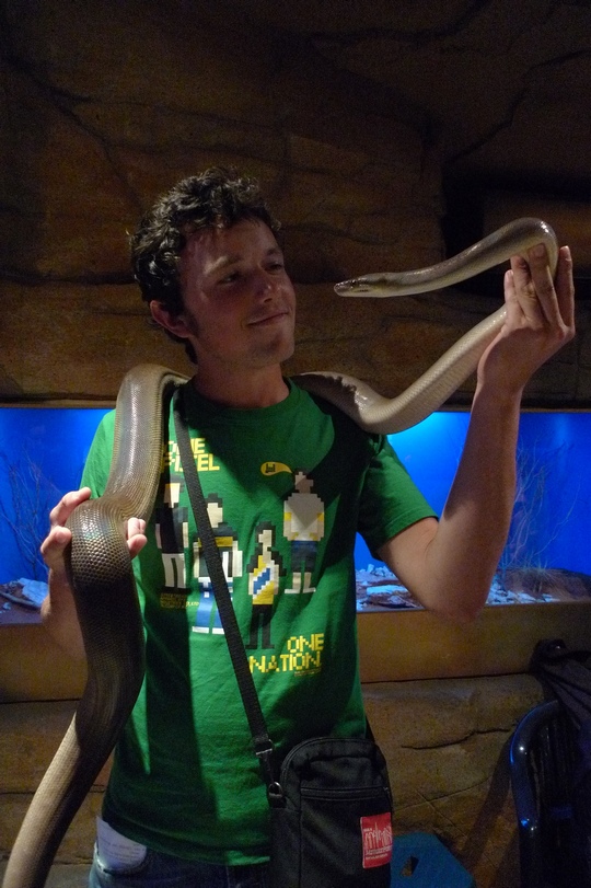 reptile_center9