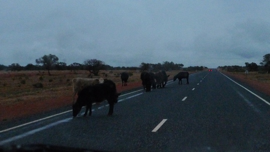 uluru13