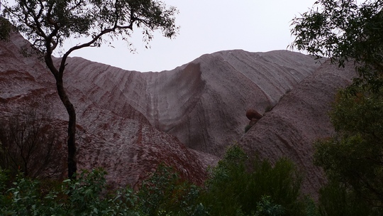 uluru24