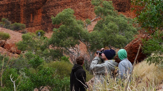 uluru33