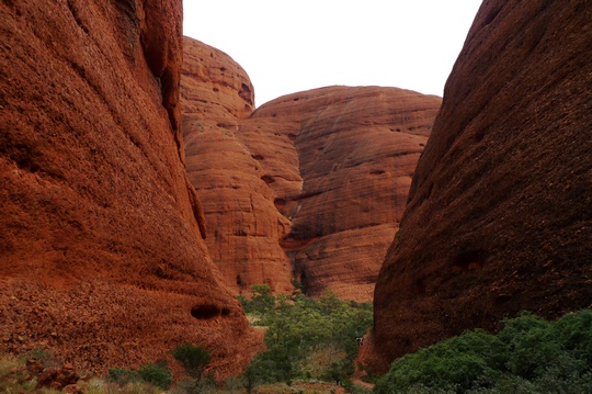 uluru35