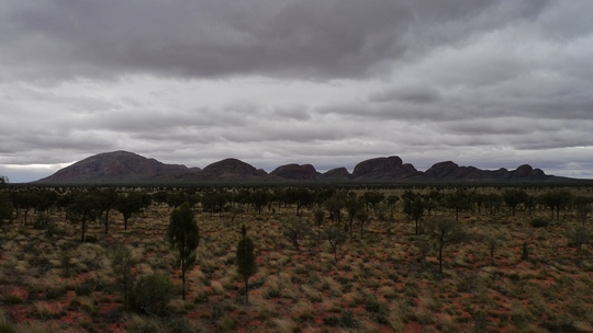 uluru39