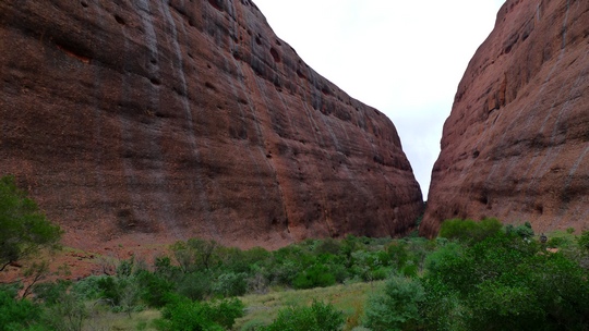 uluru41bis