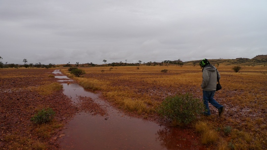 uluru8