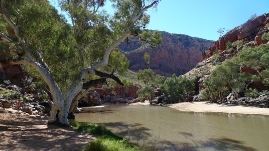 westmacdonnell7