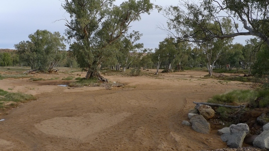 alice_springs_daily28