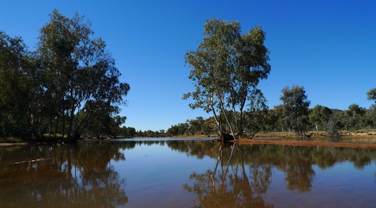 alice_springs_daily5