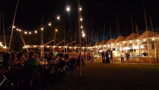 darwin_festival