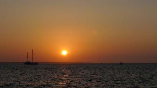 darwin_festival10