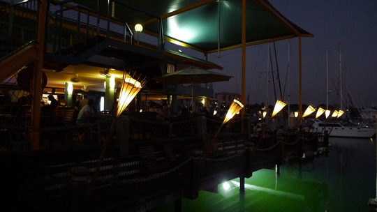 darwin_festival14