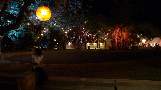 darwin_festival2