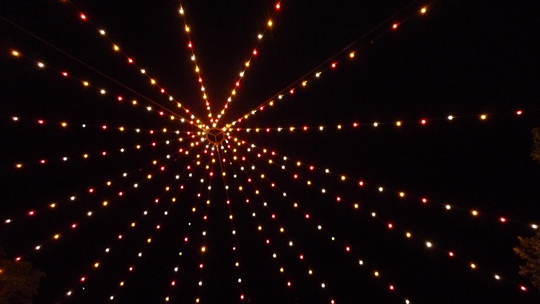 darwin_festival6
